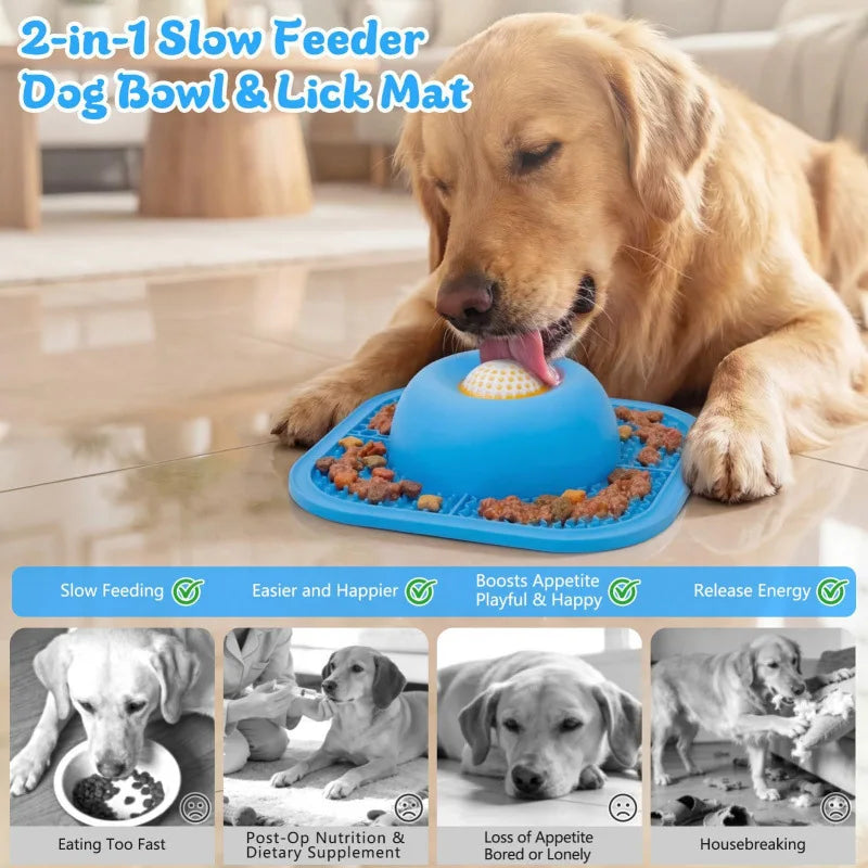 PETCLUB slow feeder